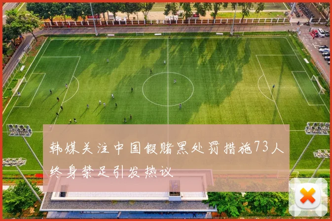 韩媒关注中国假赌黑处罚措施73人终身禁足引发热议