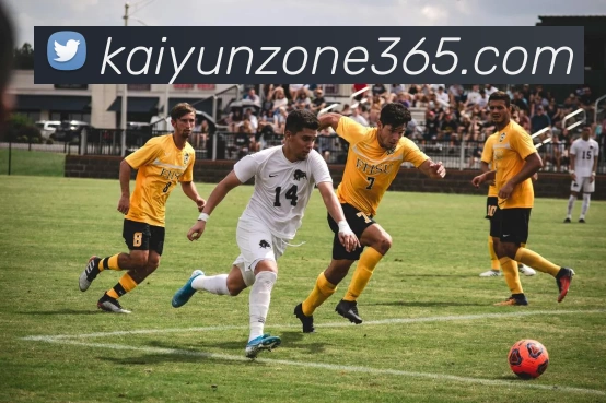 开云体育APP 高清赛事图